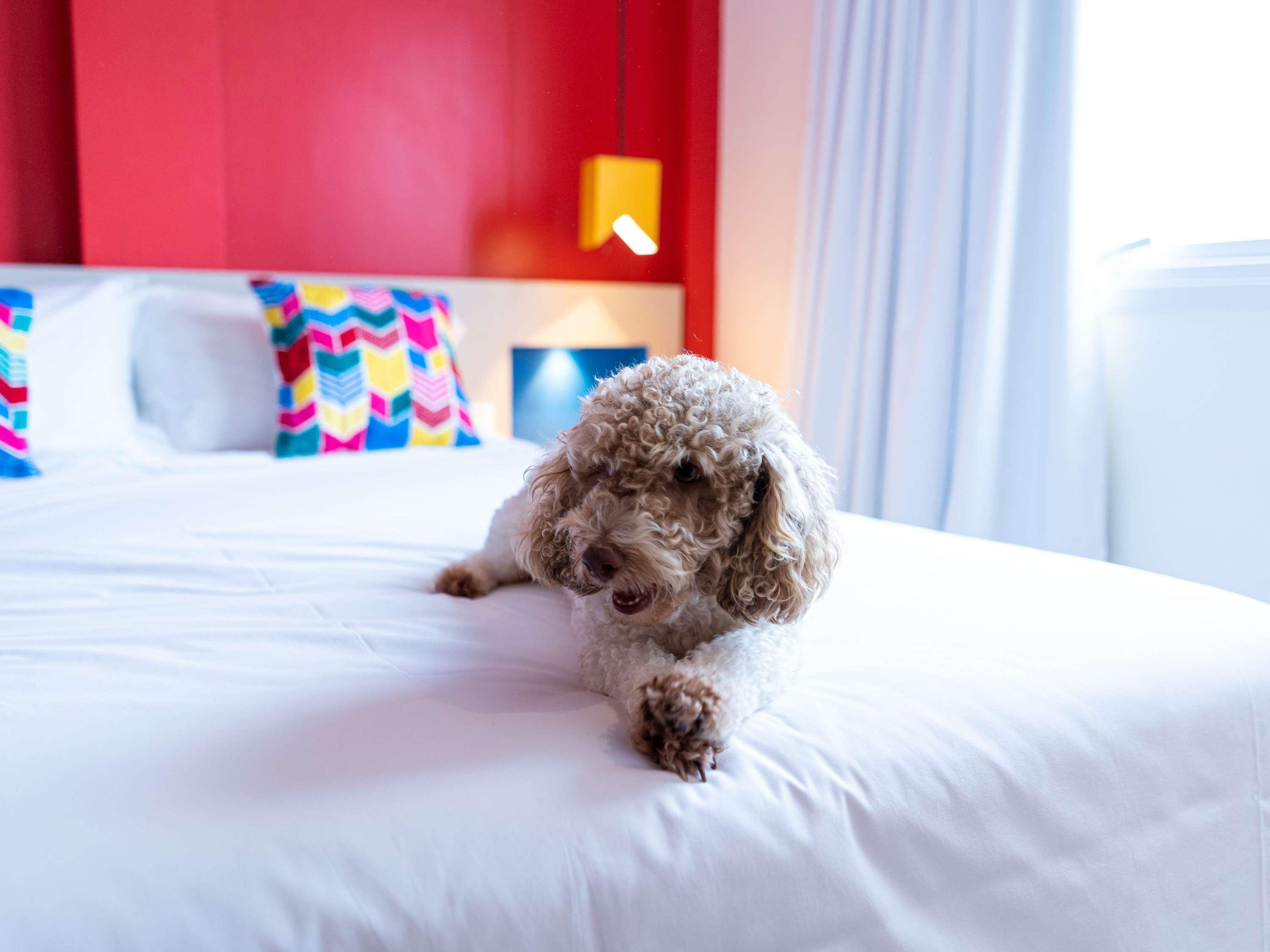 Ibis Styles Campina Grande Hotel Buitenkant foto